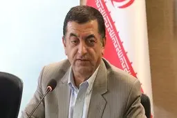 ۸ میلیون ایرانی از اسنپ و تپسی ارتزاق می‌کنند که با روزی ۶ ساعت کار کردن، ماهانه چیزی حدود ۳۵ تا ۴۰ میلیون تومان درآمد دارند؛ دیگر کسی با این درآمد، در کارخانه کار نخواهد کرد