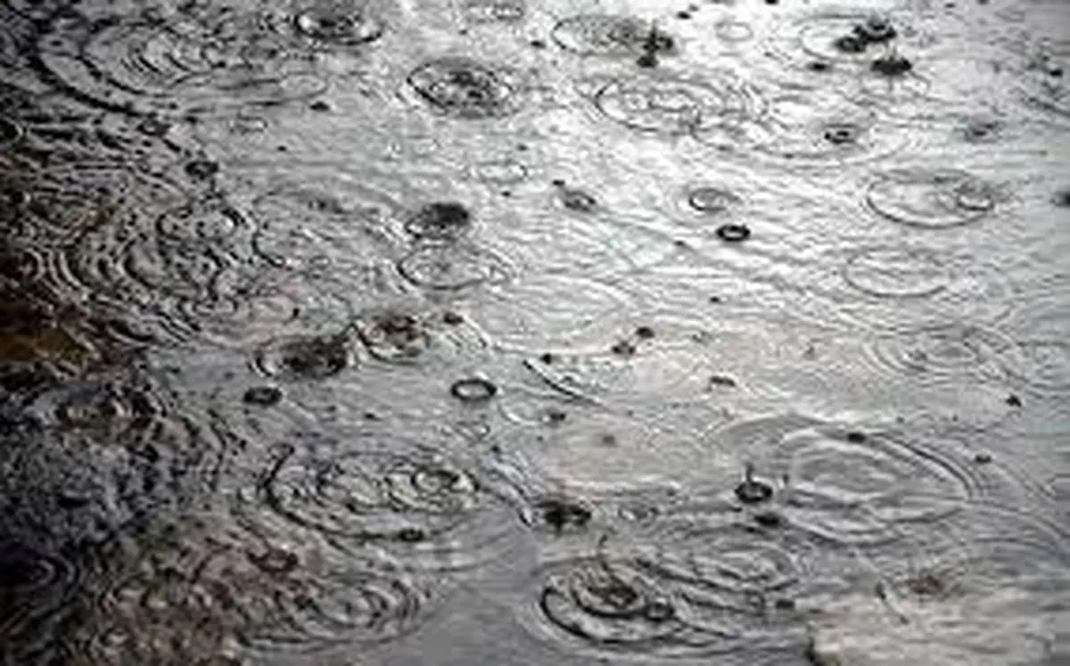 سازمان هواشناسی هشدار داد  | بارش باران و رعد و برق در هفت استان