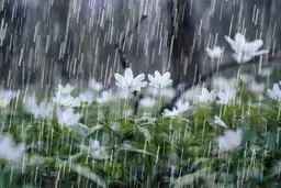 بارش باران و برف طی ۲۴ ساعت آینده در کشور 