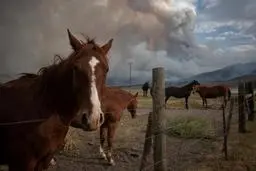 دیدنی‌های امروز؛ از مجسمه "خدای طول عمر" تا باز شدن "تاج محل" به روی گردشگران