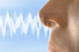 از دست دادن بویایی پس از کرونا | عارضه‌ای ماندگار تا آخر عمر!