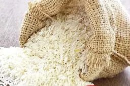 با یک صابون با حشرات برنج خداحافظی کن | روش از بین بردن حشرات برنج +ویدئو