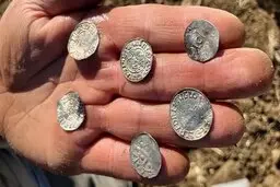 کشف یک گنجینه تاریخ‌ساز