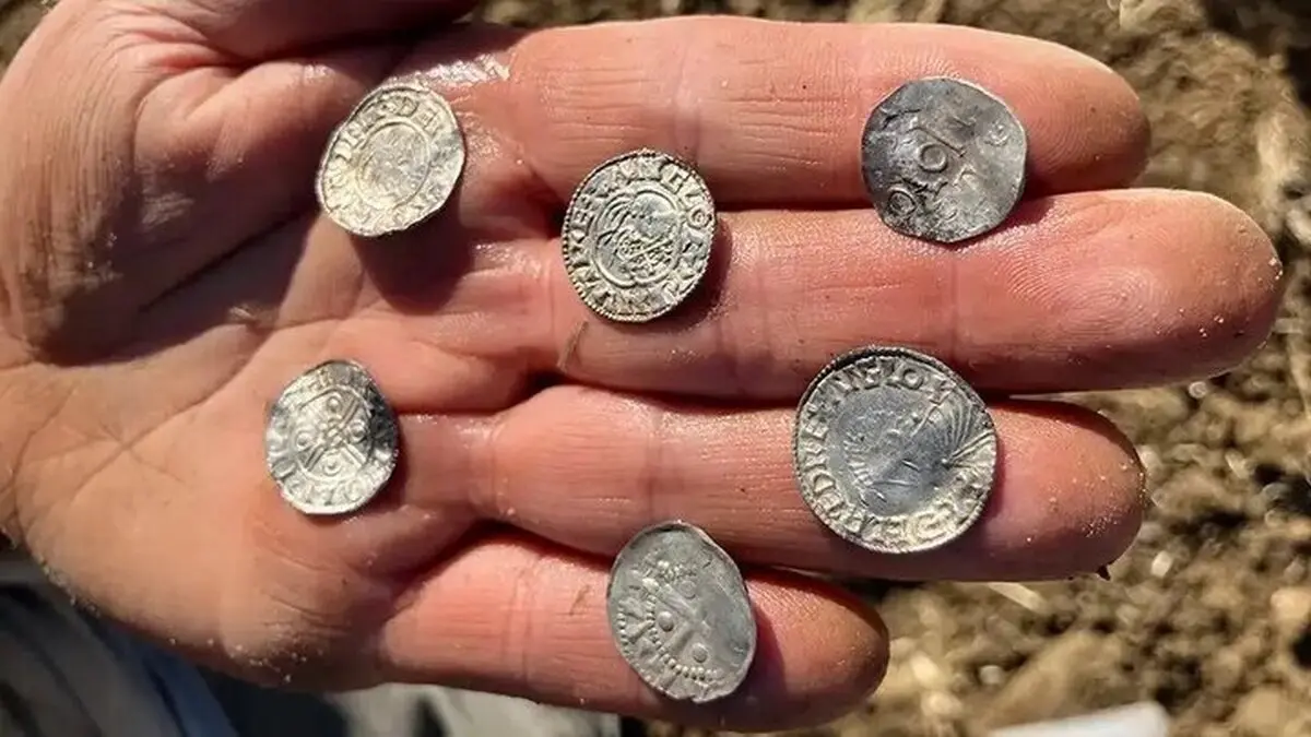 کشف یک گنجینه تاریخ‌ساز