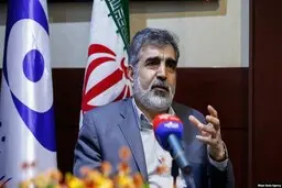 
کمالوندی: امسال ۴۰ تن کیک زرد تولید می‌کنیم

