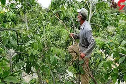 مرگ هولناک 3 مرد در حادثه گردو تکانی | 73 نفر راهی بیمارستان شدند