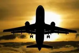 یک مادر و دختر، خلبان خطوط هوایی سوئیس را کتک زدند

