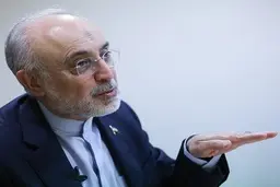 اگر برجام بخواهد از بن بست فعلی جان سالم به در ببرد، باید اعتماد متقابل بازسازی شود 