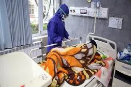  تشخیصی ۱۵۵۶ بیمار جدید مبتلا به کووید۱۹ 