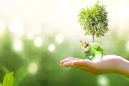 تاثیر مثبت شیوع ویروس کرونا  در وضعیت حیات وحش 