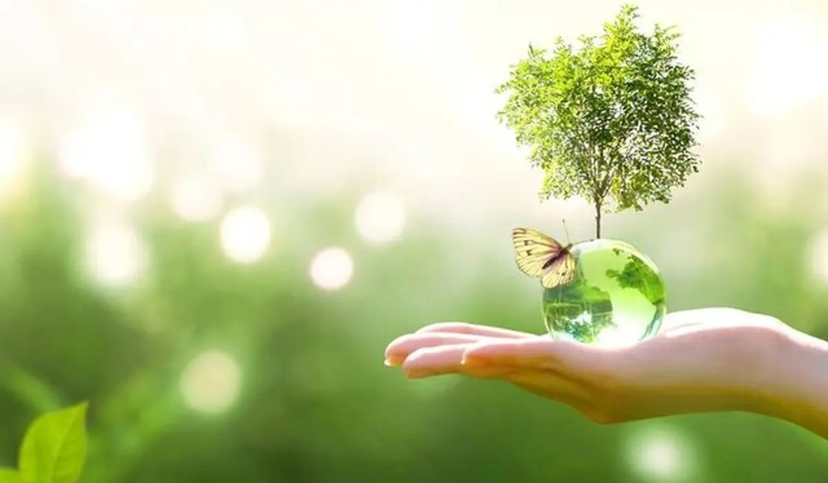 تاثیر مثبت شیوع ویروس کرونا  در وضعیت حیات وحش 