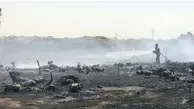 آتش سوزی غم انگیز یک دامداری | 150 گوسفند جزغاله شدند
