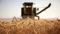 روسیه اقتصاد جهان را شوکه کرد | تغییر روش فروش گندم به چه صورت خواهد بود؟