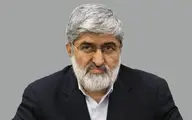 با علنی کردن دیدارش با رهبری، می‌خواست جواب کسانی را بدهد که اصرار داشته‌اند او نامزد شود | با قرار گرفتن روحانیون در پست های اجرایی خصوصا ریاست جمهوری مخالفم