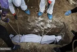 کرونا  |   ۲۰ هزار تهرانی جان خود را از دست دادند 