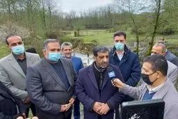 ضرغامی: شهرهای بزرگ با مشکل اقامت مسافران مواجه شده‌اند