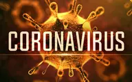 چرا اولین موارد ابتلا به کروناویروس از شهر قم است؟