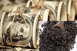 چای لب سوز دبش لب یک ملت را سوزاند | فساد مالیاتی چای دبش در ابعاد میلیارد دلاری