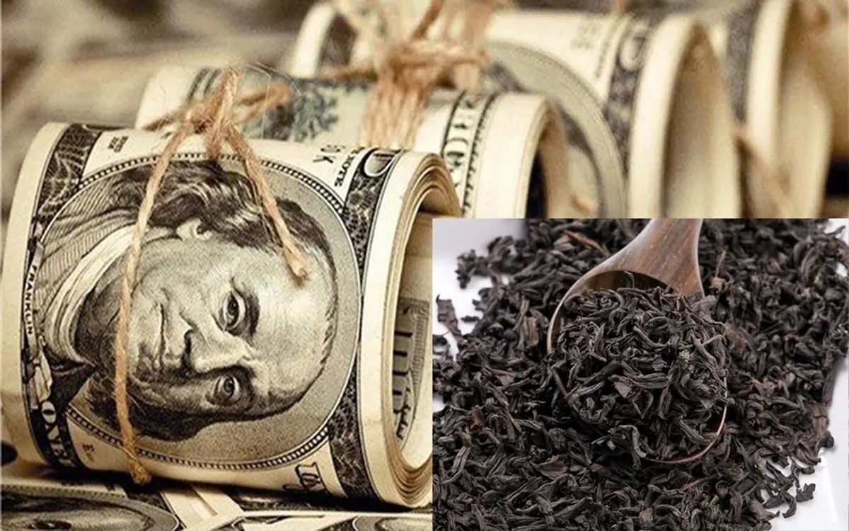 چای لب سوز دبش لب یک ملت را سوزاند | فساد مالیاتی چای دبش در ابعاد میلیارد دلاری