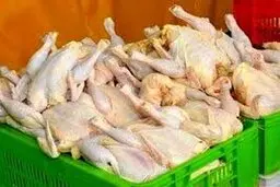  نرخ مصوب تخم مرغ  و هر کیلو مرغ زنده درب مرغداری‌ها ابلاغ شد