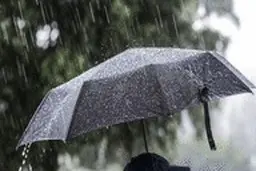  بارش تگرگ، دقایقی پیش در تهران+ویدئو
