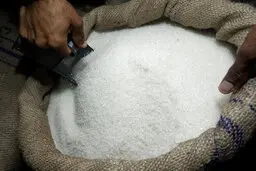 شکر گران نمی‌شود/ حذف ارز دولتی مصوبه آبان ماه بود