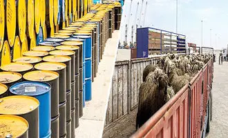 چرا سیاست فروش نفت در برابر کالای اساسی خطاست؟ | تله جدید نفت