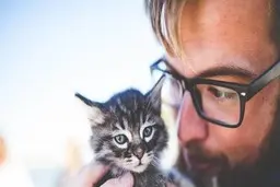 هشدار به کودکانی که در خانه‌ با گربه‌ها بزرگ شده‌اند