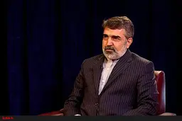 روایت سخنگوی سازمان انرژی اتمی از ابتلایش به کرونا 