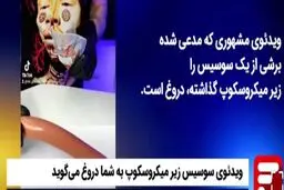 ویدئوی سوسیس زیر میکروسکوپ، دروغ است!+ویدئو 