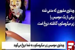 ویدئوی سوسیس زیر میکروسکوپ، دروغ است!+ویدئو 