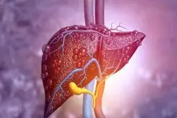 پوست شما چه چیزی را درباره وضعیت کبد شما می‌گوید؟ | چهار علامتی که نباید نادیده بگیرید