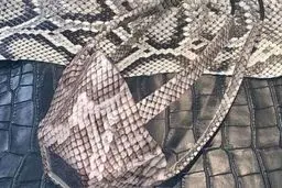     آغازتولید ماسک با پوست خزندگان 

