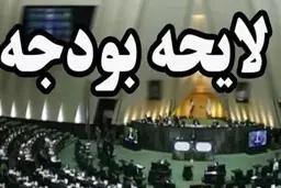 لایحه بودجه ۱۴۰۱ حاکی از عقلانیت و منطق بیشتر است