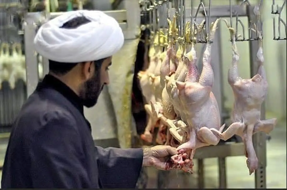 حقوق ناظران شرعی 2500 یورو در هر ماه تعیین شد
