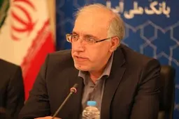 همه افراد جامعه نمی توانند وام بدون ضامن بگیرند