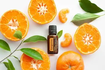 با چند نارنگی، یک دکور خوش‌عطر بسازید | آموزش ساخت خوشبوکننده طبیعی +ویدئو