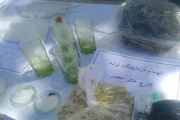  قارچ سمی| کشف قارچ سمی شبیه مخدر درغرب تهران + عکس 