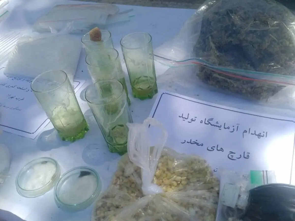  قارچ سمی| کشف قارچ سمی شبیه مخدر درغرب تهران + عکس 