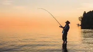 فقط با یک بطری و یک تیکه نون کلی ماهی صید کن! | ترفند ماهیگیری آسان فقط با یک بطری +ویدئو