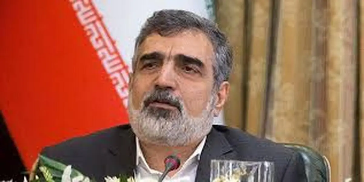 
کمالوندی: دانشمندان به زودی بخش‌های صدمه دیده را جبران می کنند
