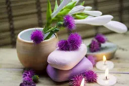 تأثیر باورنکردنی یک گیاه عجیب برای رشد مو!
