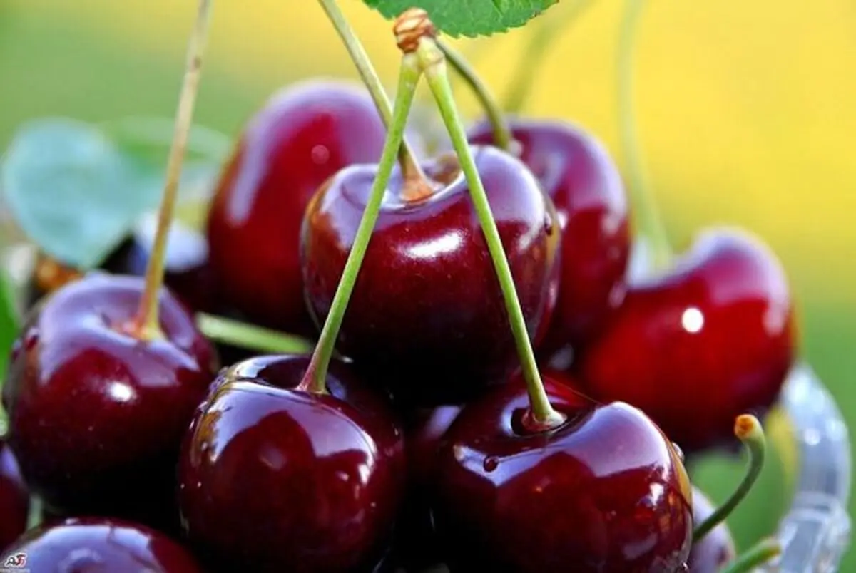 این میوه را قبل از خواب بخورید