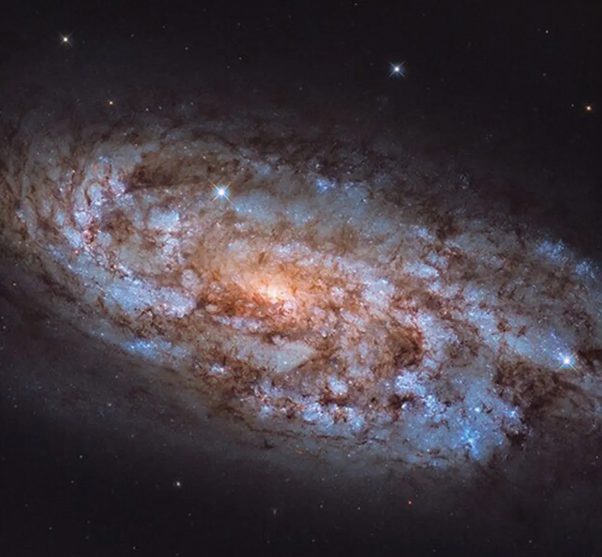 تصویر زیبای یک کهکشان مارپیچ از تلسکوپ فضایی هابل ناسا+ عکس| تصویر حیرت آور کهکشان مارپیچ ستاره افشان