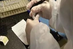 دور زدن قانون  |   کارتخوان شهربازی در آزمایشگاه مشهور