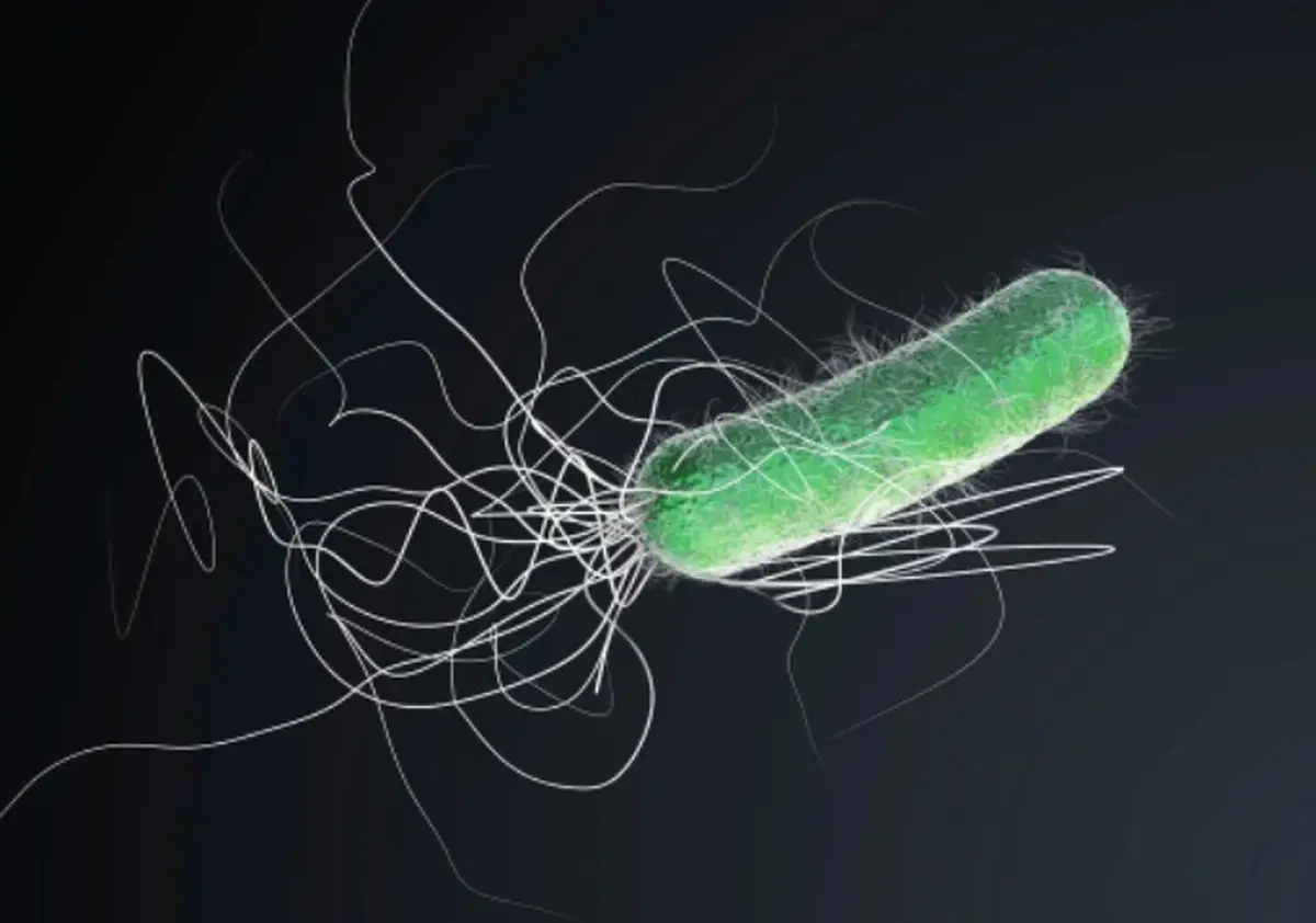 کنسرت میکروارگانیسم‌ها: صدای باکتری، ریزترین موجود زنده جهان را بشنوید!+ویدئو 