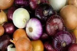 آیا پیاز ضد باکتری است؟