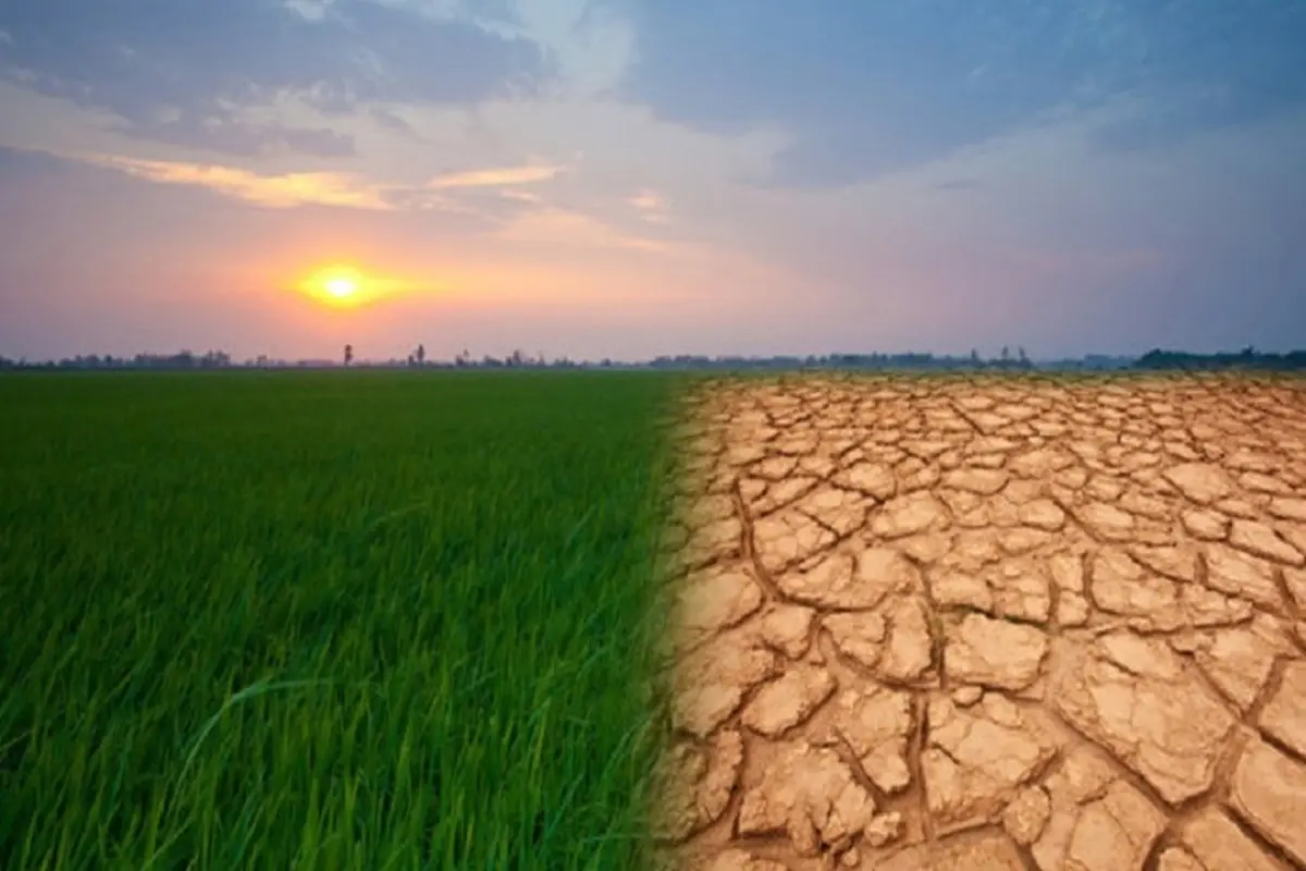 خشکسالی بهاری، رگبار تابستانی؛ تغییر اقلیم در راه‌ست