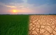 خشکسالی بهاری، رگبار تابستانی؛ تغییر اقلیم در راه‌ست