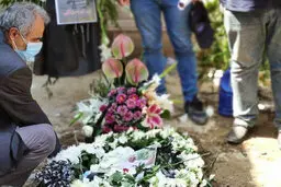 پیکر نادر دست نشان در خاک آرام گرفت